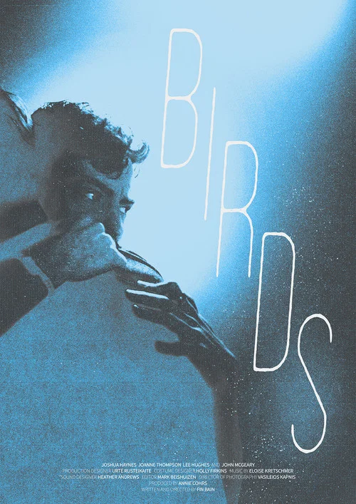 Birds постер