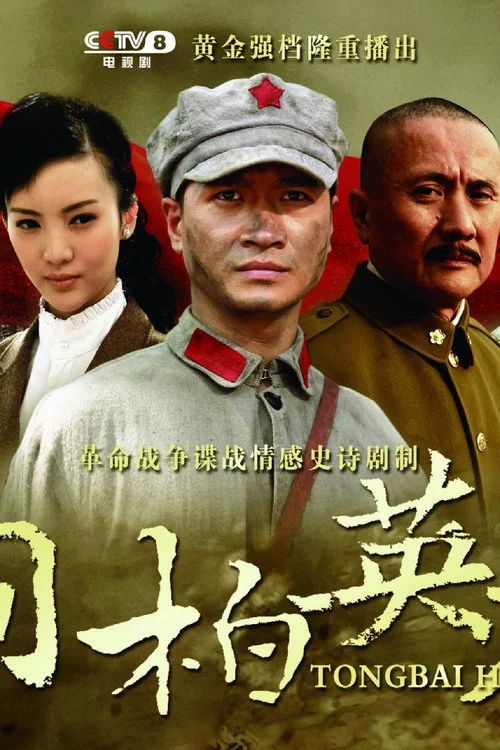 桐柏英雄 постер