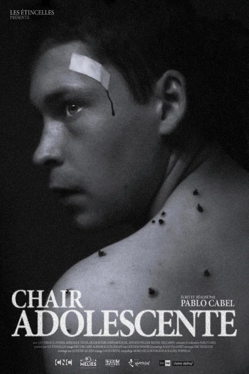 Chair Adolescente постер