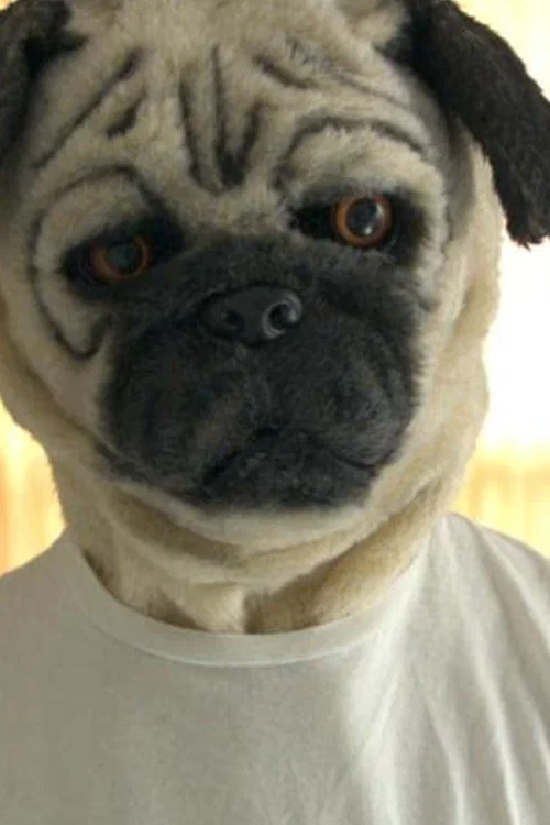 A Pug & Wolf Christmas постер