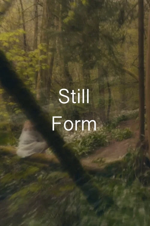 Still Form постер