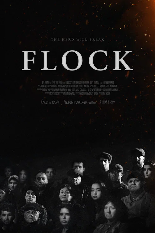 Flock постер