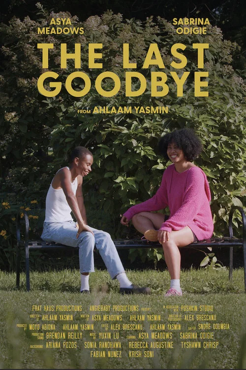 The Last Goodbye постер