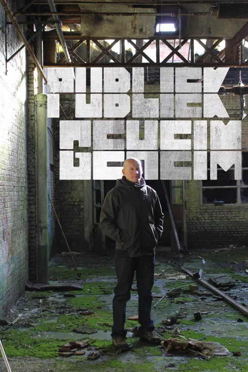 Publiek Geheim постер