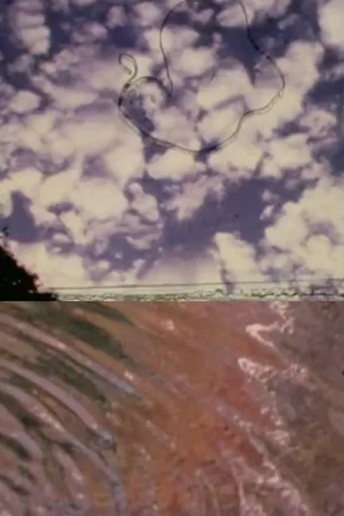 The Cosmos in Mike Smith’s Pond постер