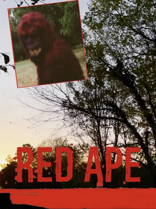 Red Ape постер