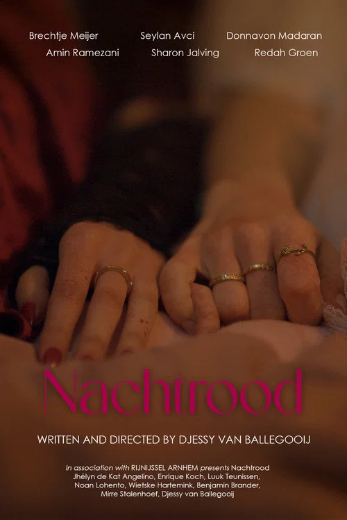 Nachtrood постер