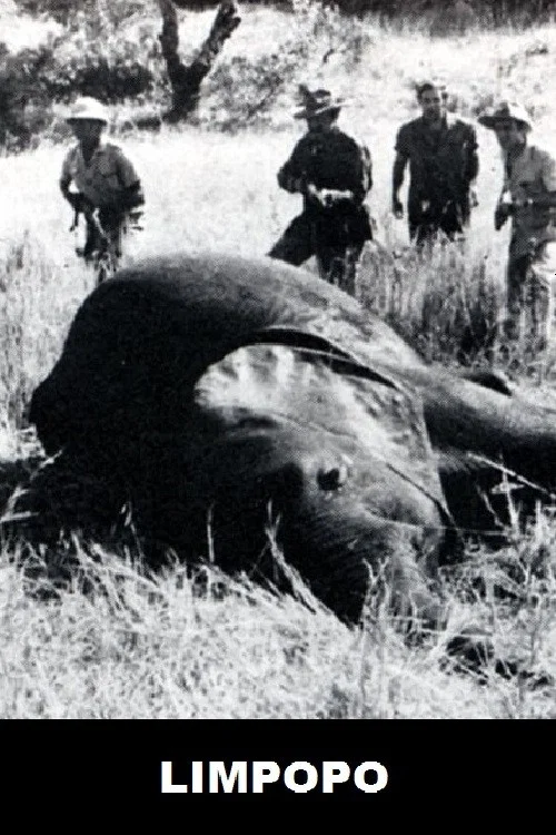 Limpopo постер