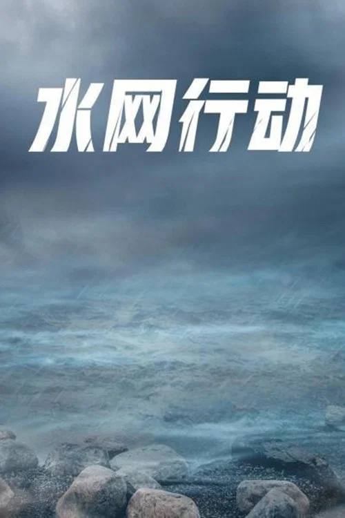 水网行动 постер
