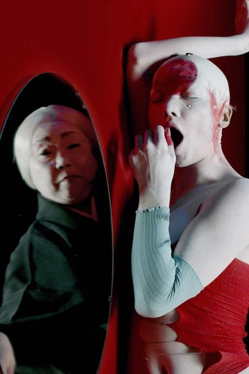 Simulacra постер