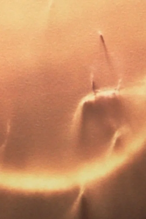 Light Licks: Only Sunshine постер