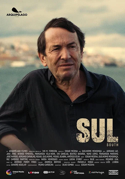 Sul постер