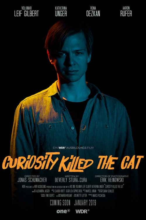 Curiosity killed the Cat постер