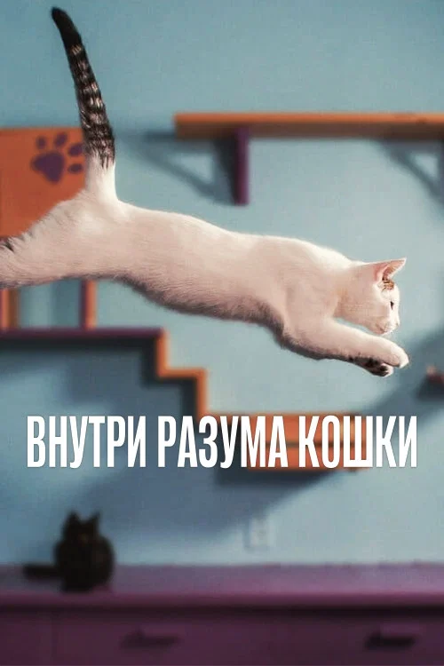 Внутри разума кошки постер