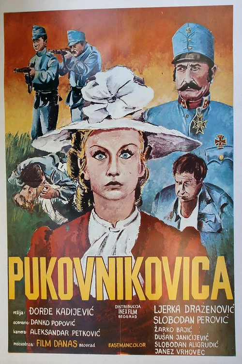Pukovnikovica постер