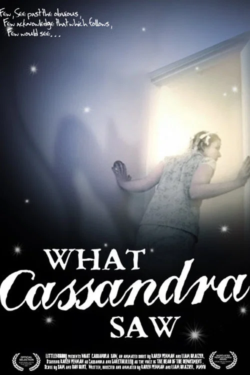 What Cassandra Saw постер