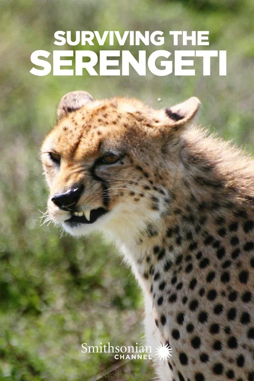 Surviving the Serengeti постер