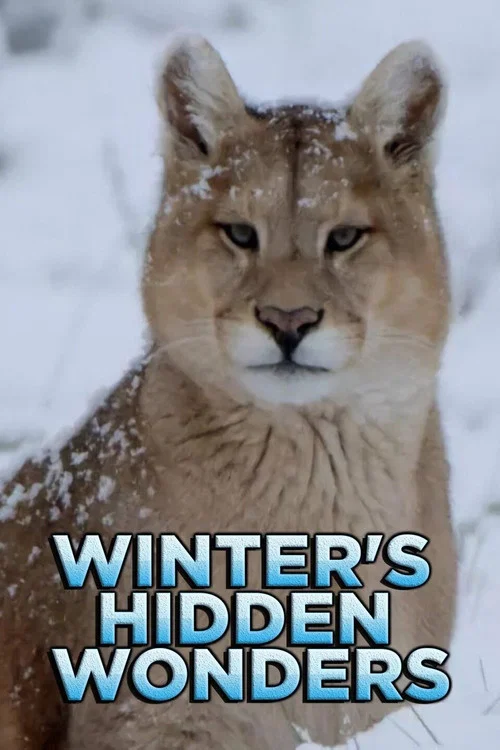 Winter's Hidden Wonders постер