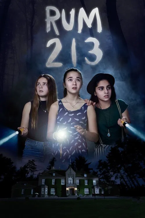 Комната 213 постер