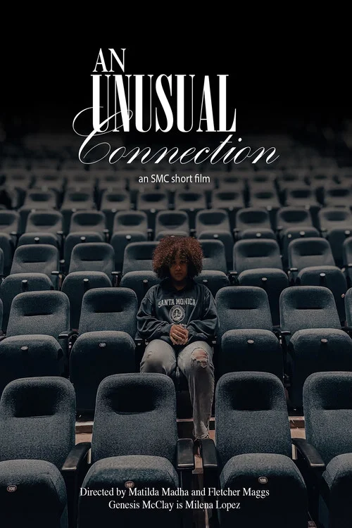 An Unusual Connection постер