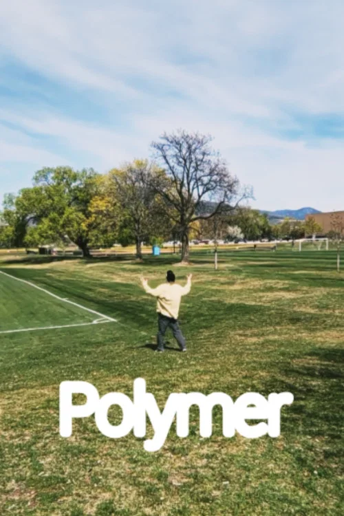Polymer постер