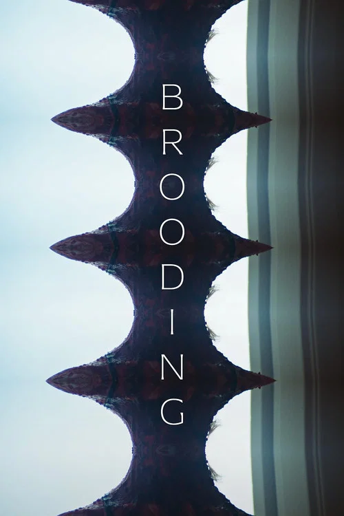 Brooding постер