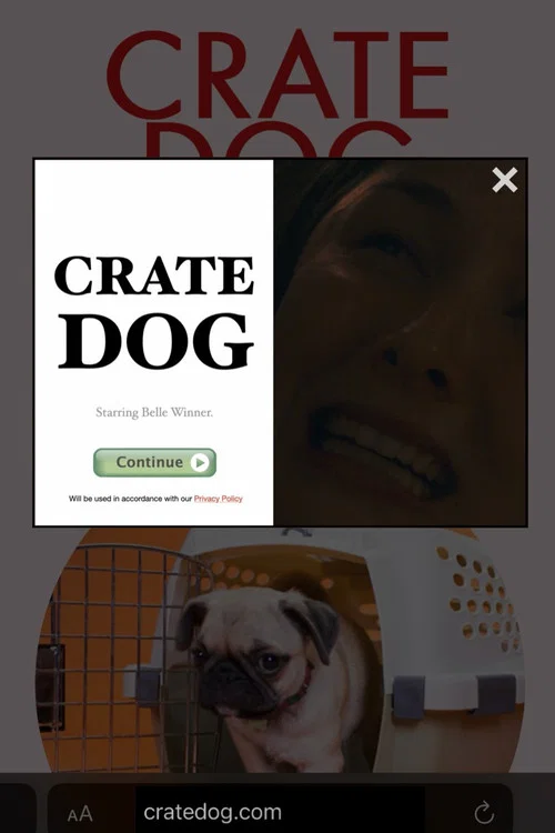 Crate Dog постер