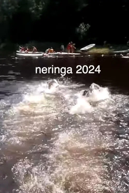 our last year at sleepaway camp постер