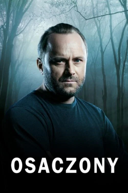 Osaczony постер
