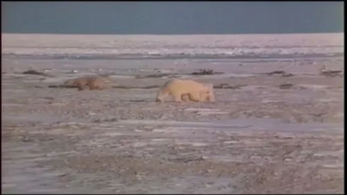 Эпизод 3