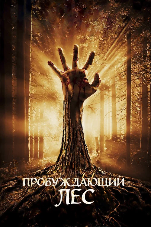 Пробуждающий лес постер
