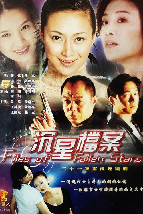 沉星档案 постер