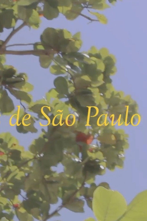 Notícias de São Paulo постер