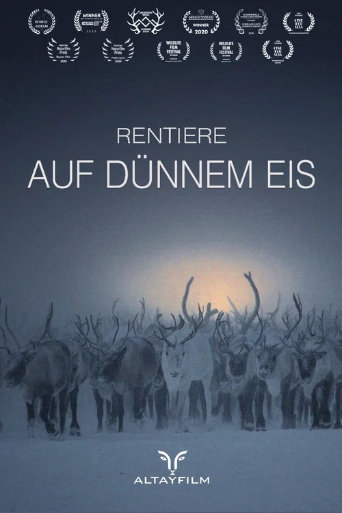 Rentiere auf dünnem Eis постер