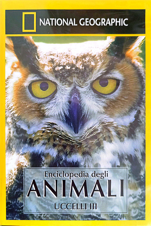 Owls: Silent Hunters постер