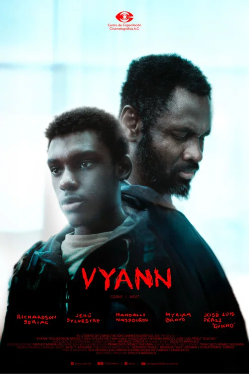 Vyann постер