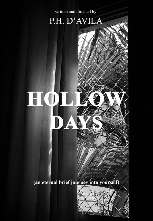 HOLLOW DAYS - an eternal brief journey into yourself постер