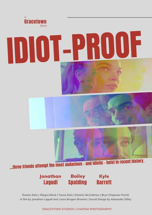 Idiot-Proof постер