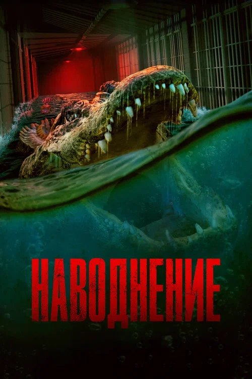 Наводнение постер