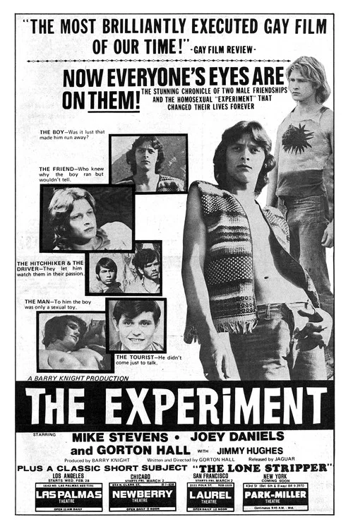 The Experiment постер