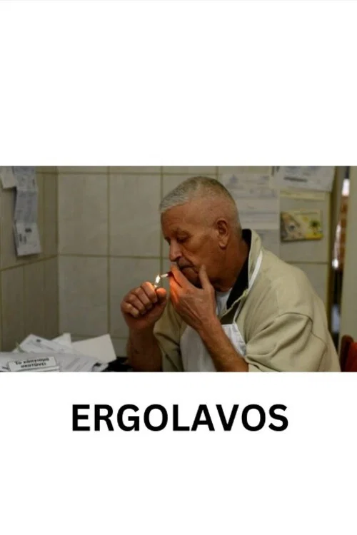 Εργολάβος постер