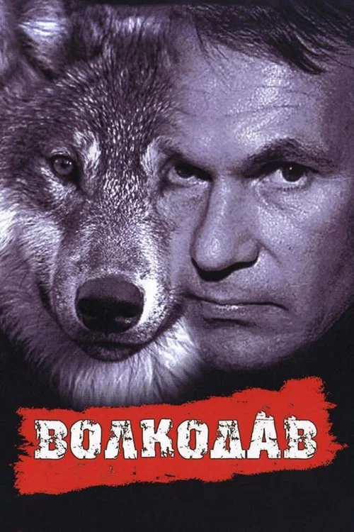 Волкодав постер