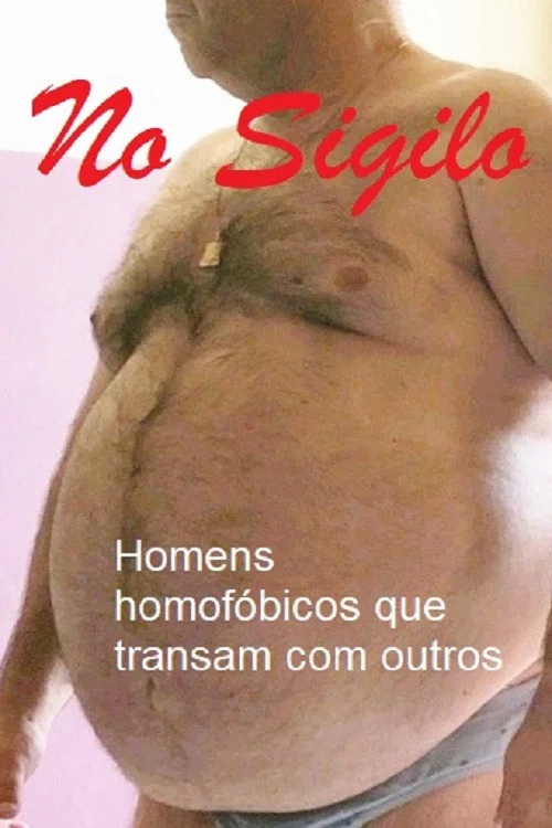 No Sigilo постер