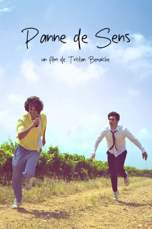 Panne De Sens постер
