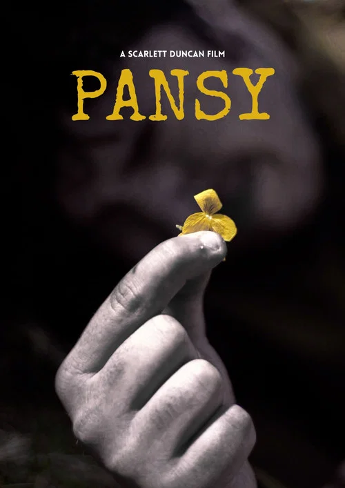 Pansy постер
