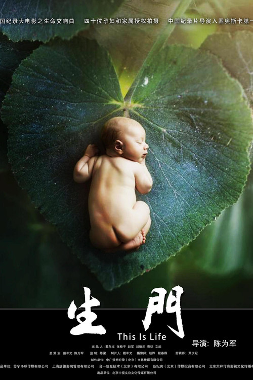 生门 постер