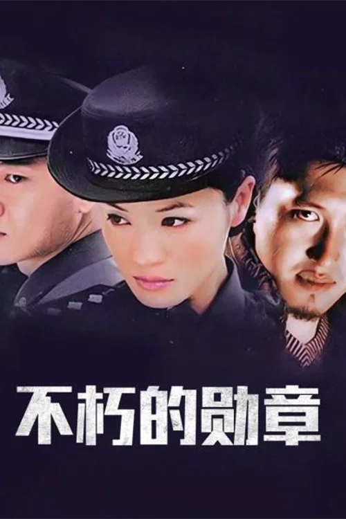 不朽的勋章 постер
