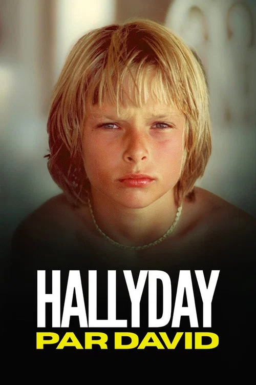 Hallyday par David постер