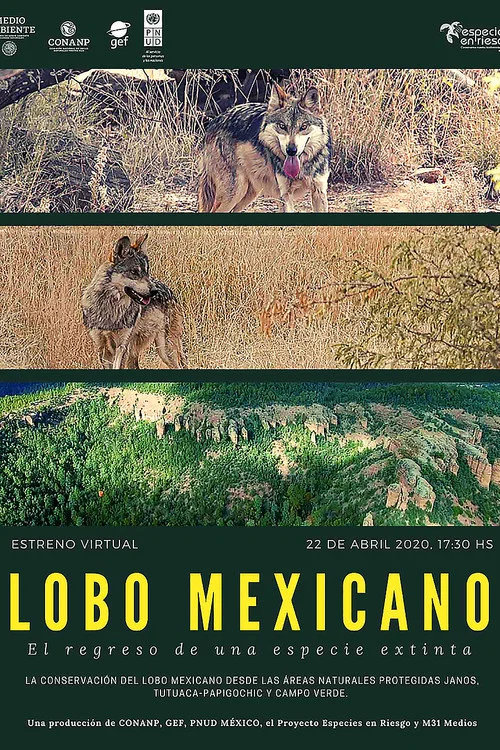 Lobo Mexicano постер