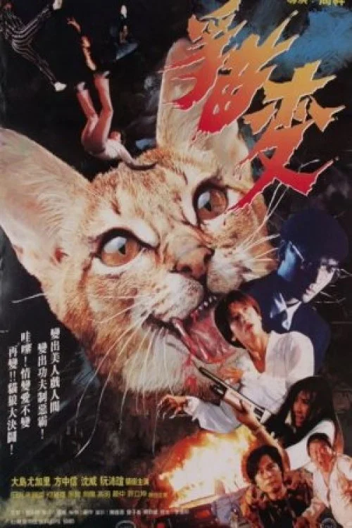 猫变 постер